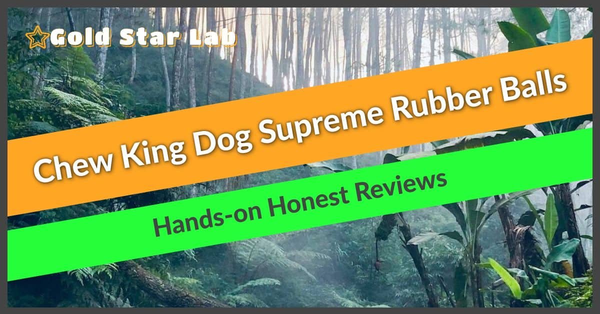 Chew King Dog Supreme Rubber Balls