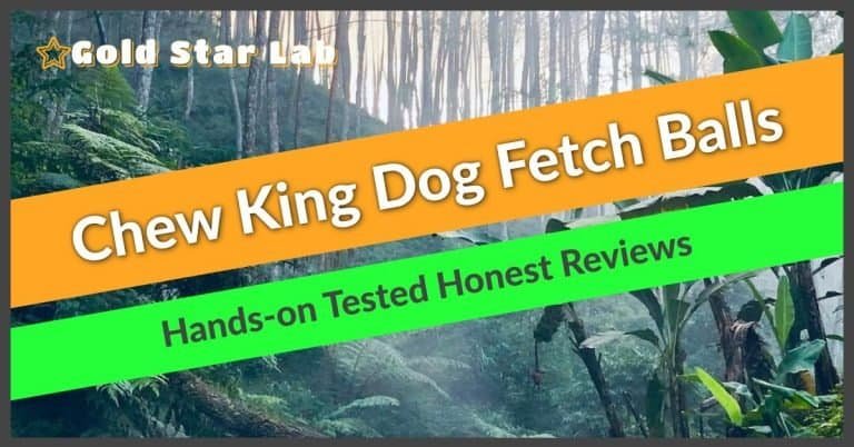 Slow Feed Chew And Fetch Crocodile, Lettuce Pets, Upgrade