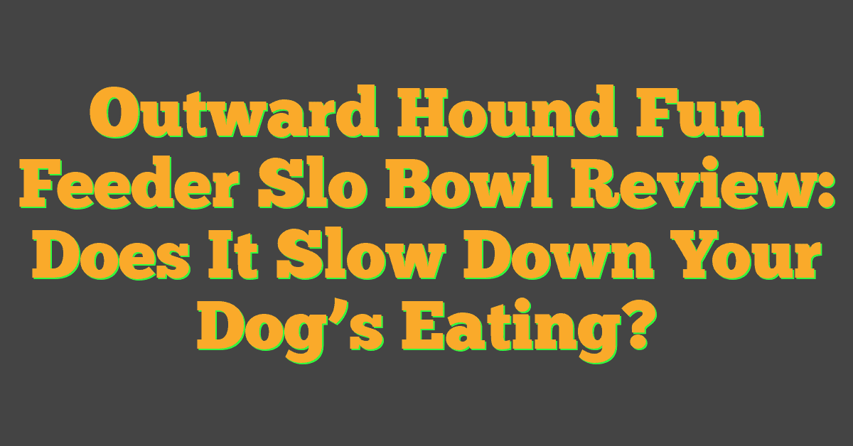 Outward Hound Fun Feeder Slo Bowl Review: Does It Slow Down Your Dog’s Eating?