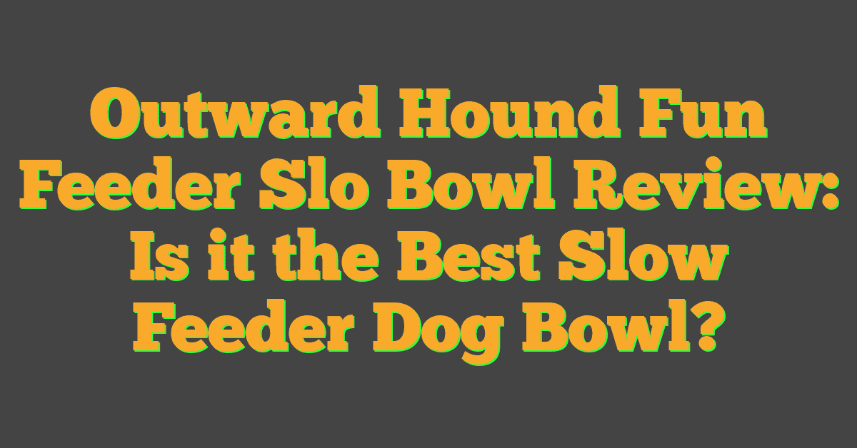 Outward Hound Fun Feeder Slo Bowl Review: Is it the Best Slow Feeder Dog Bowl?