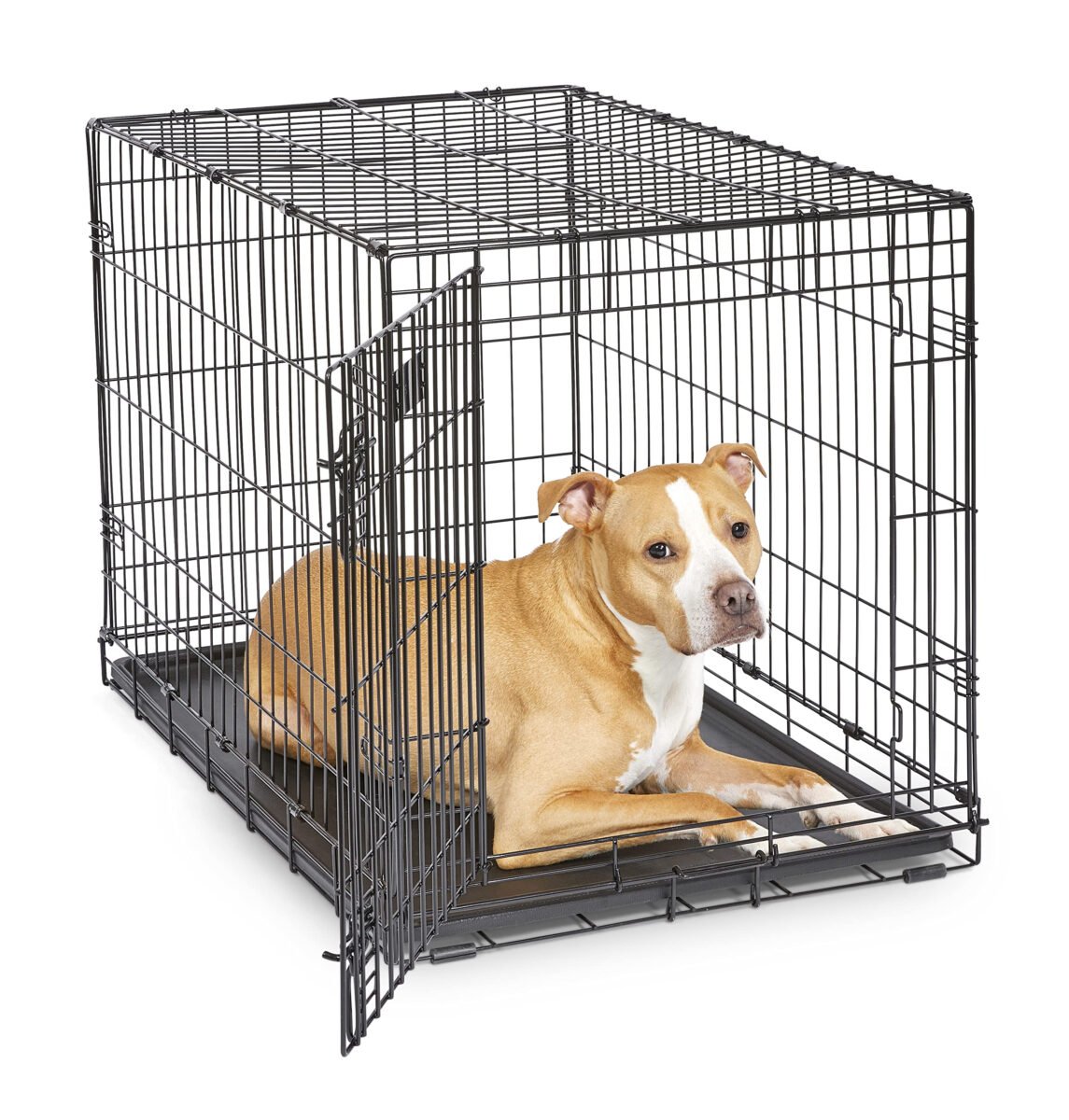 MidWest iCrate Dog Crate Review: Is It Worth the Hype?