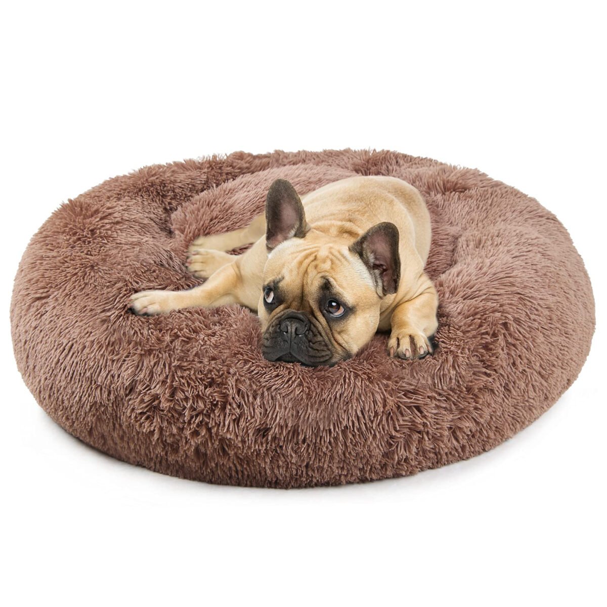 Washable Donut French Bulldog Ded Calming Cat Bed Review: Is It Worth It? Washable Donut French Bulldog Ded Calming Cat Bed Review: Is It Worth It?